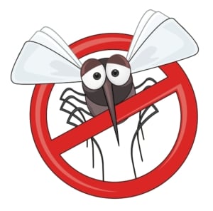 No-Mosquito-shutterstock_168875036-300x296