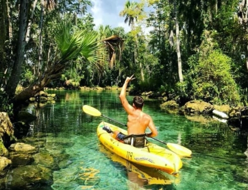 Visit Florida Natural Springs