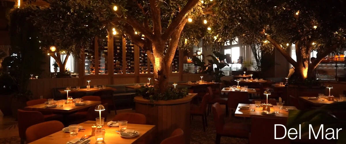 Del Mar Fort Lauderdale Best New Fort Lauderdale Restaurants 2026